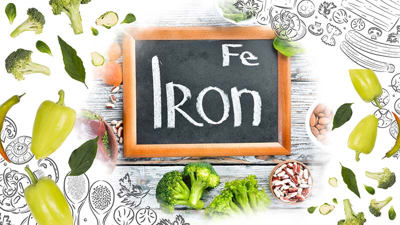 Role of Iron in the Body